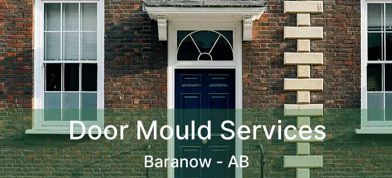  Door Mould Services Baranow - AB