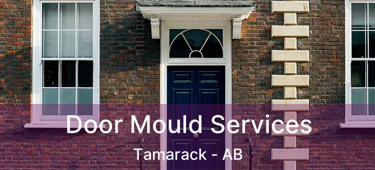  Door Mould Services Tamarack - AB