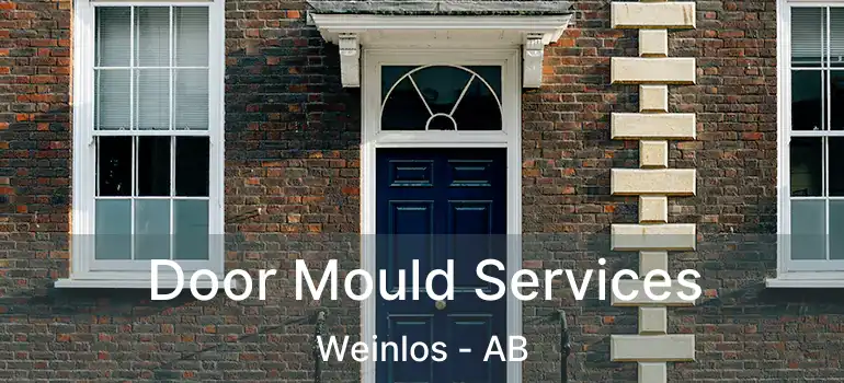  Door Mould Services Weinlos - AB