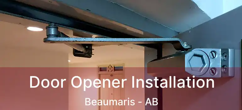  Door Opener Installation Beaumaris - AB