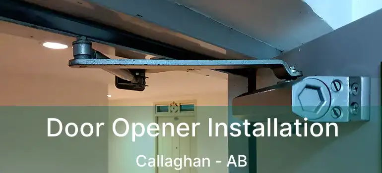  Door Opener Installation Callaghan - AB