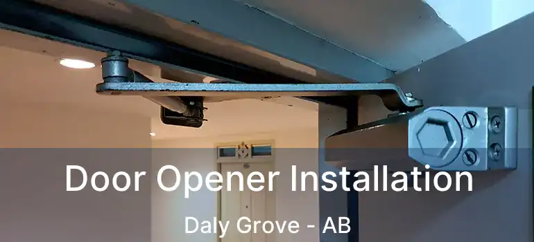  Door Opener Installation Daly Grove - AB