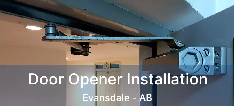  Door Opener Installation Evansdale - AB