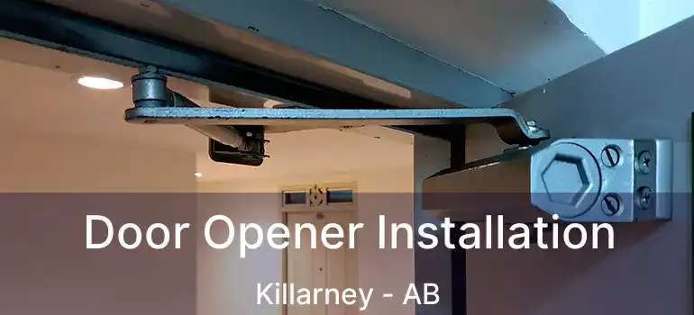 Door Opener Installation Killarney - AB