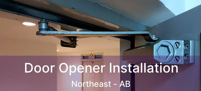  Door Opener Installation Northeast - AB
