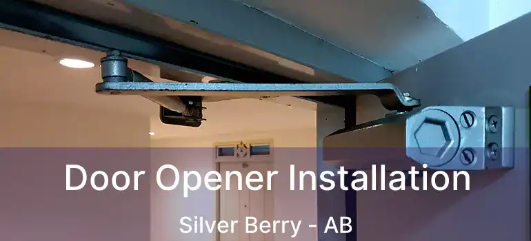  Door Opener Installation Silver Berry - AB