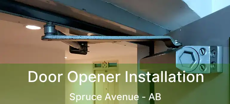  Door Opener Installation Spruce Avenue - AB
