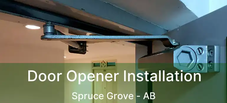  Door Opener Installation Spruce Grove - AB