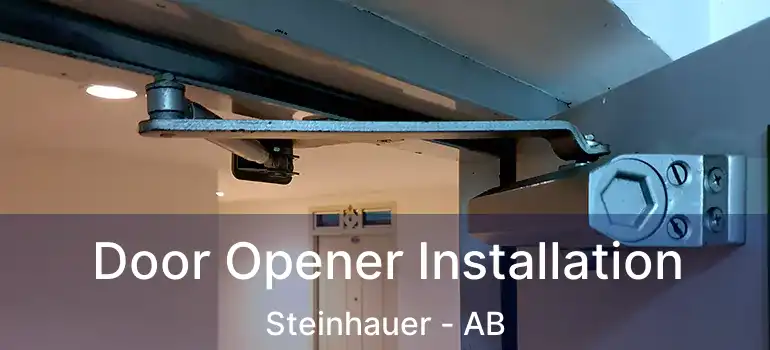  Door Opener Installation Steinhauer - AB