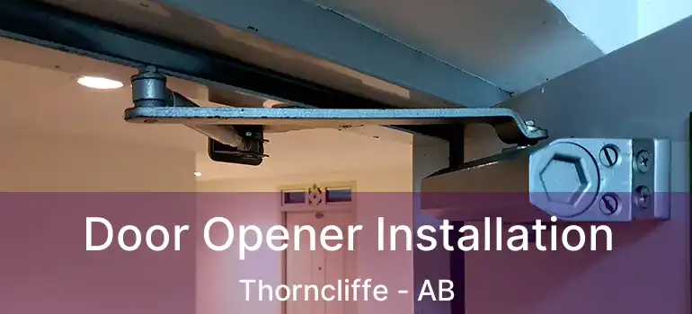  Door Opener Installation Thorncliffe - AB