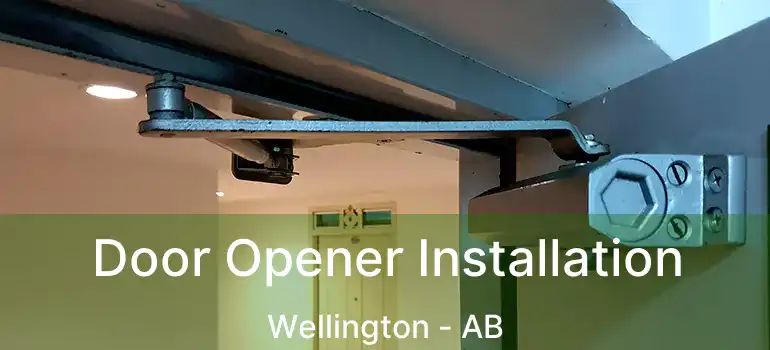  Door Opener Installation Wellington - AB