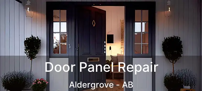  Door Panel Repair Aldergrove - AB