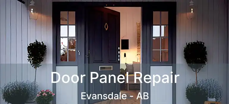  Door Panel Repair Evansdale - AB