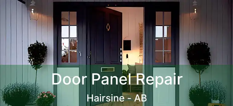  Door Panel Repair Hairsine - AB