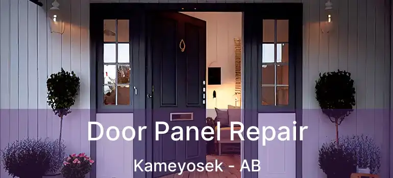  Door Panel Repair Kameyosek - AB