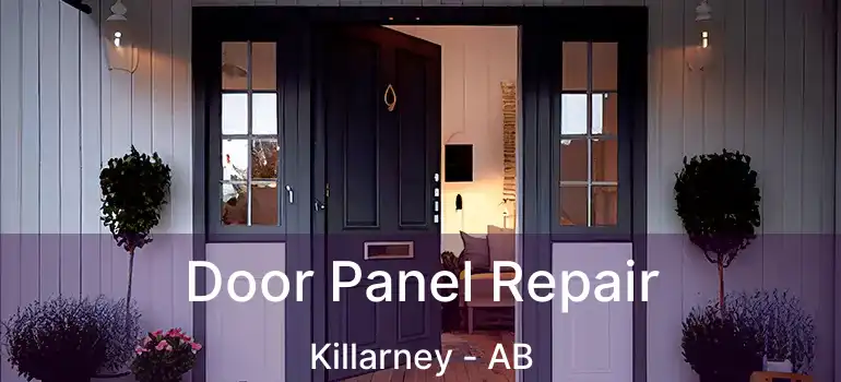  Door Panel Repair Killarney - AB
