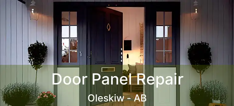  Door Panel Repair Oleskiw - AB