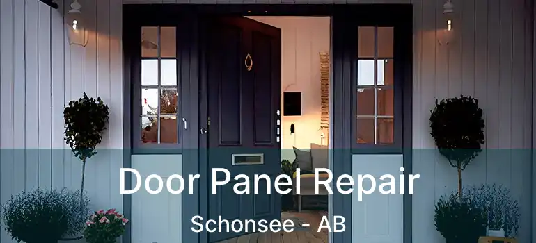  Door Panel Repair Schonsee - AB