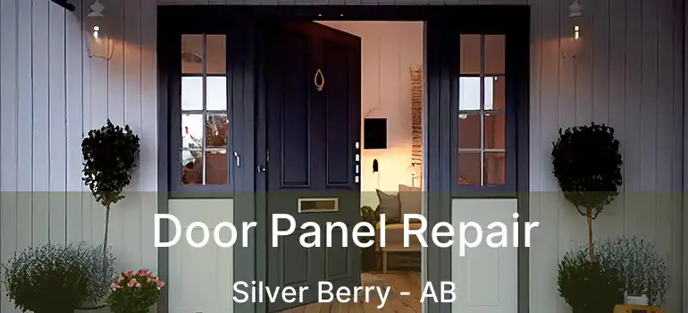  Door Panel Repair Silver Berry - AB