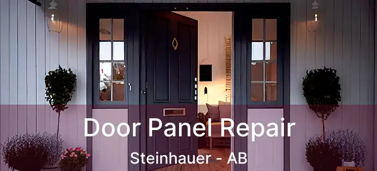  Door Panel Repair Steinhauer - AB
