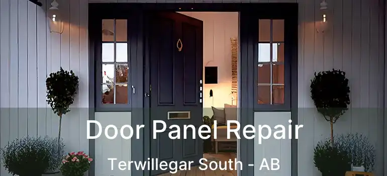  Door Panel Repair Terwillegar South - AB