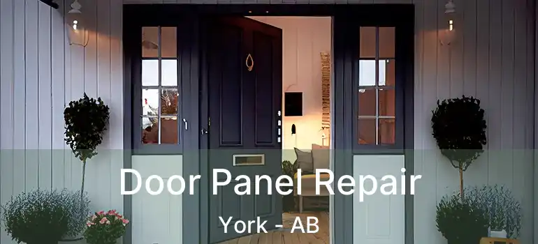  Door Panel Repair York - AB