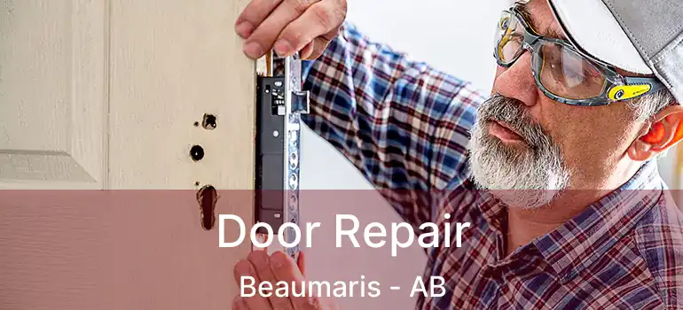  Door Repair Beaumaris - AB