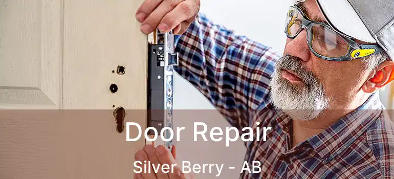  Door Repair Silver Berry - AB