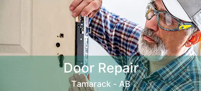  Door Repair Tamarack - AB