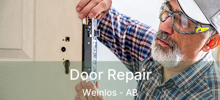  Door Repair Weinlos - AB