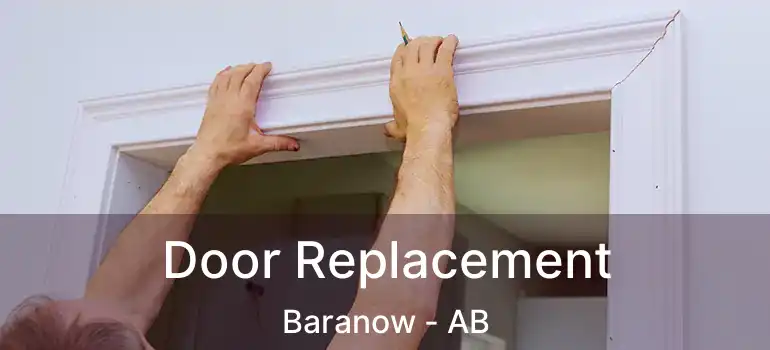  Door Replacement Baranow - AB