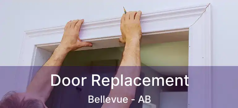  Door Replacement Bellevue - AB