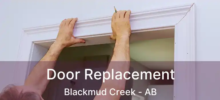  Door Replacement Blackmud Creek - AB