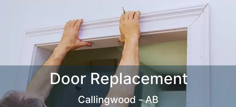  Door Replacement Callingwood - AB