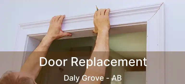  Door Replacement Daly Grove - AB