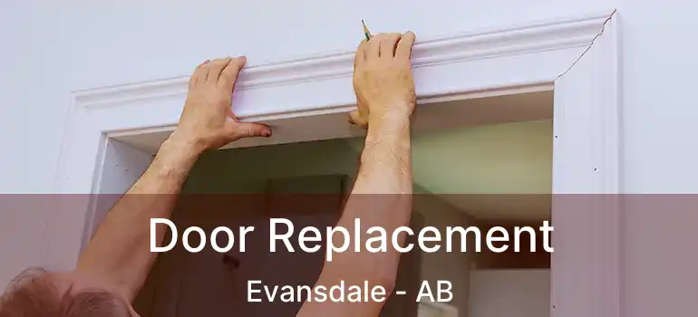  Door Replacement Evansdale - AB