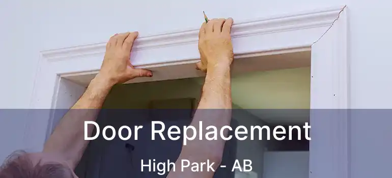  Door Replacement High Park - AB