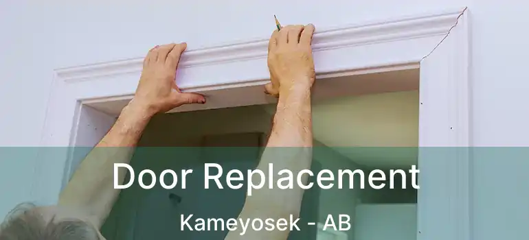  Door Replacement Kameyosek - AB