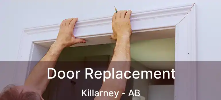  Door Replacement Killarney - AB