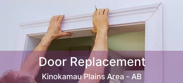  Door Replacement Kinokamau Plains Area - AB