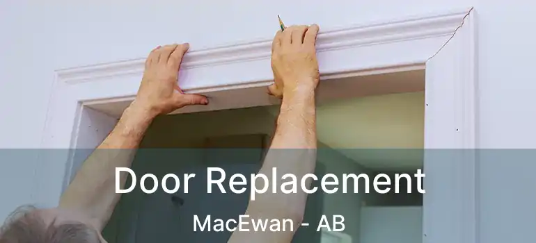  Door Replacement MacEwan - AB
