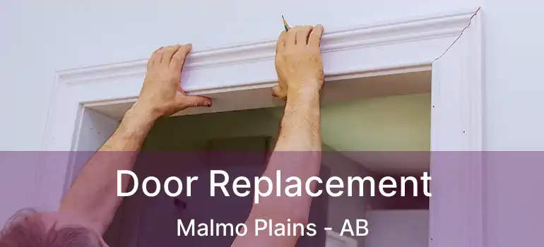  Door Replacement Malmo Plains - AB