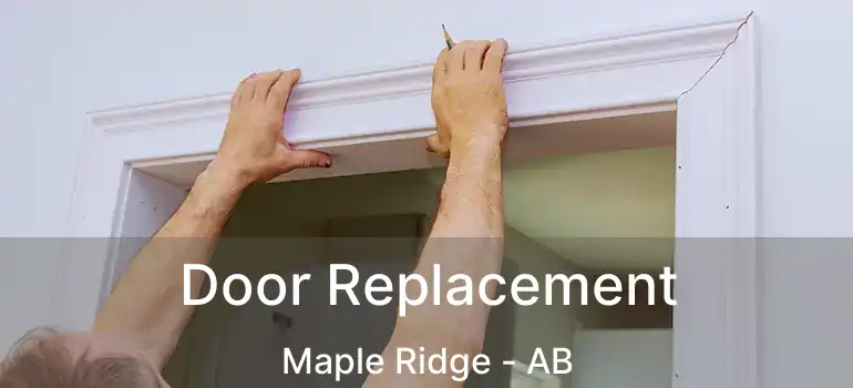  Door Replacement Maple Ridge - AB