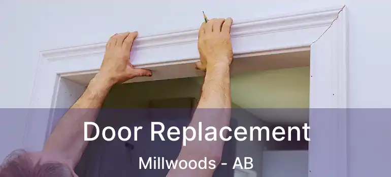  Door Replacement Millwoods - AB