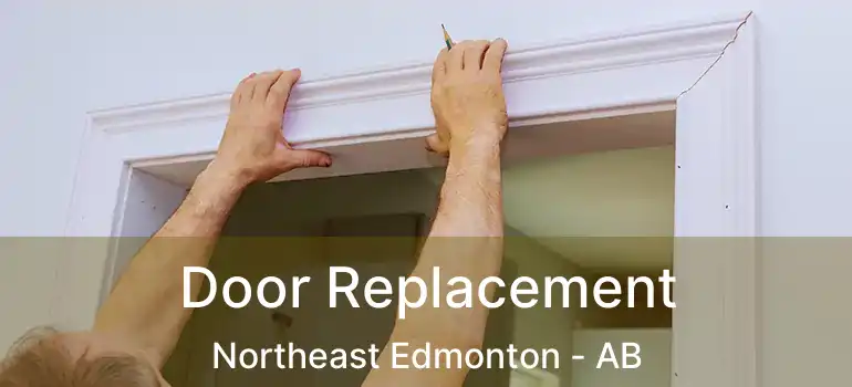  Door Replacement Northeast Edmonton - AB