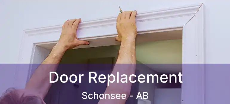  Door Replacement Schonsee - AB