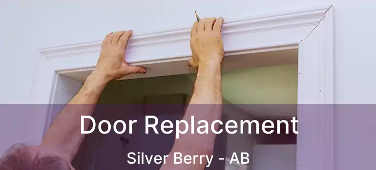  Door Replacement Silver Berry - AB