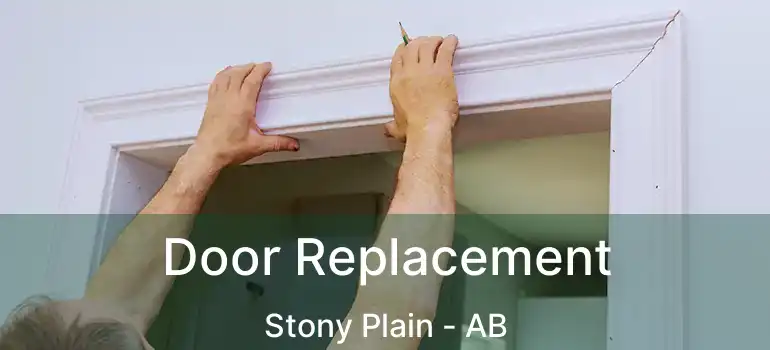  Door Replacement Stony Plain - AB