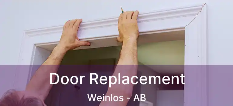  Door Replacement Weinlos - AB