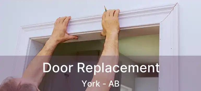  Door Replacement York - AB